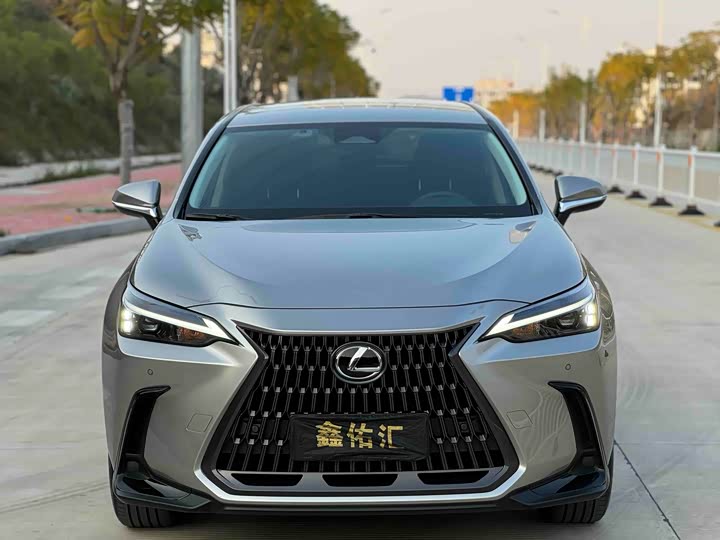 Фото 2 - Lexus NX