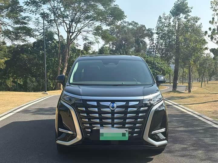 Фото 2 - Denza D9