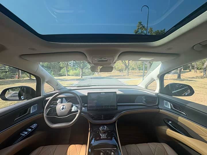 Фото 5 - Denza D9