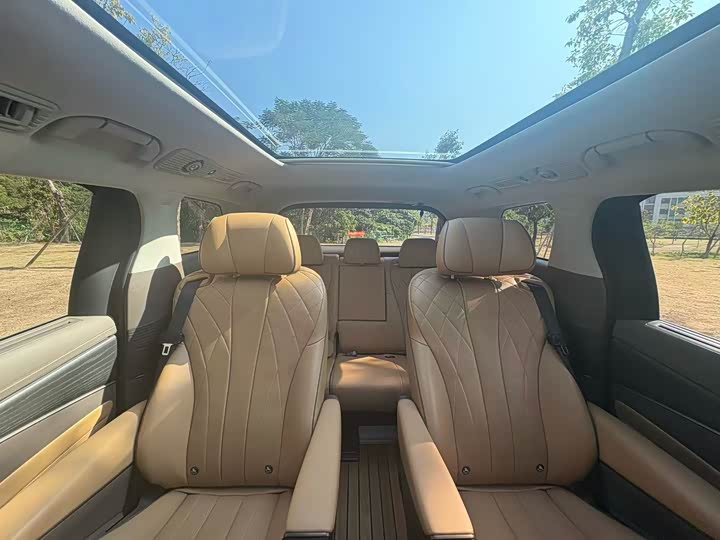 Фото 6 - Denza D9