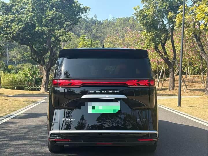 Фото 8 - Denza D9