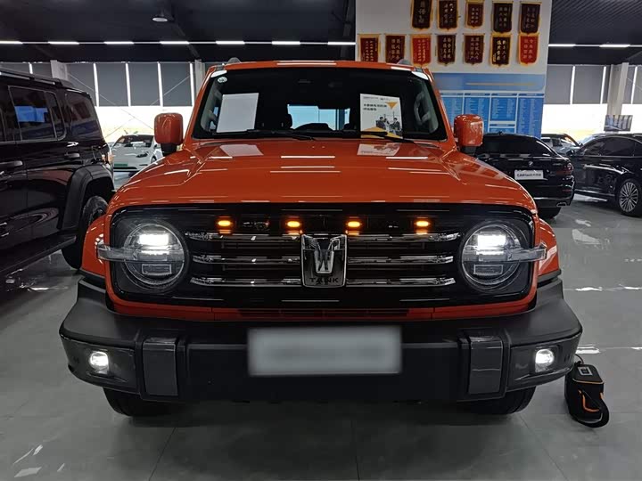 Фото 3 - Tank 300