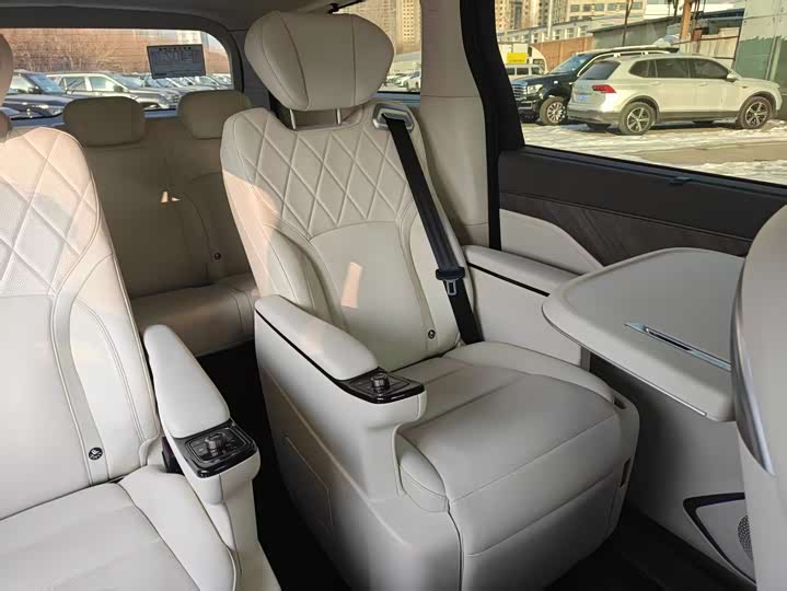 Фото 3 - Wey Gaoshan