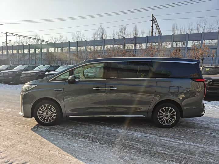 Фото 5 - Wey Gaoshan