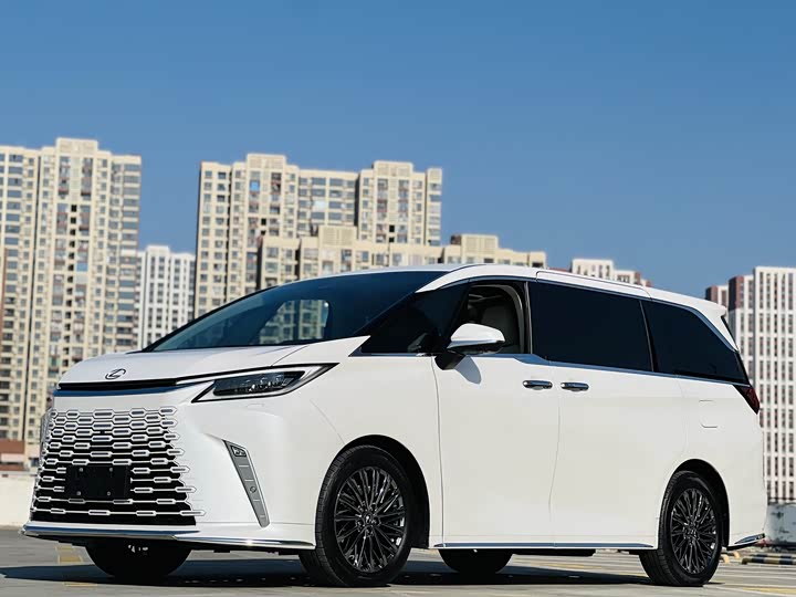 Фото 1 - Lexus LM