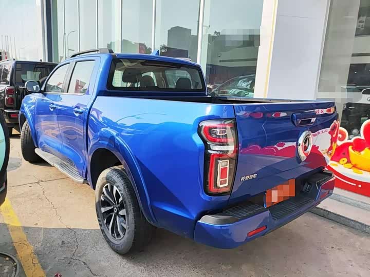 Фото 3 - Great Wall Pao