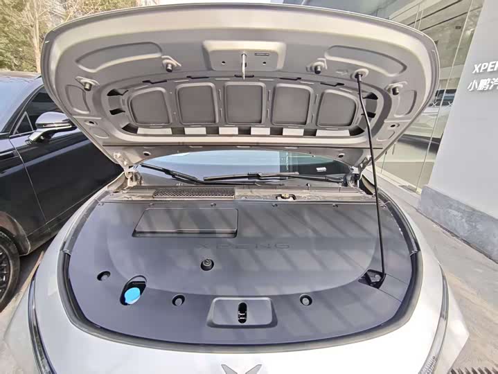 Фото 5 - XPeng F57