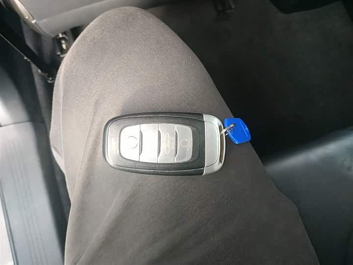 Фото 9 - Hongqi H5