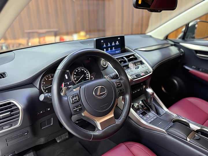 Фото 9 - Lexus NX