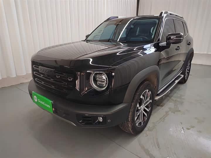 Фото 2 - Haval Dargo