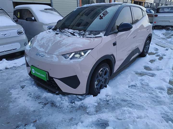 Фото 1 - BYD Seagull