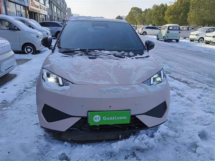 Фото 3 - BYD Seagull