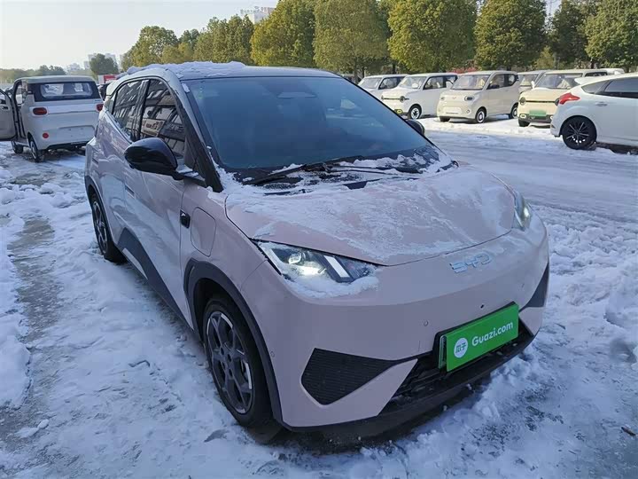 Фото 4 - BYD Seagull