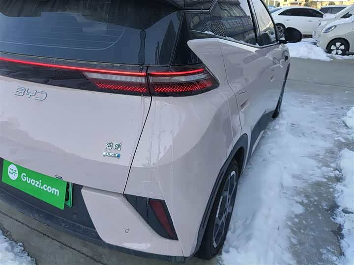 Фото 8 - BYD Seagull