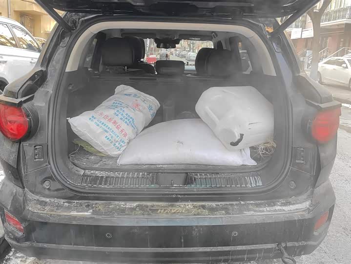 Фото 4 - Haval H-Dog Hybrid