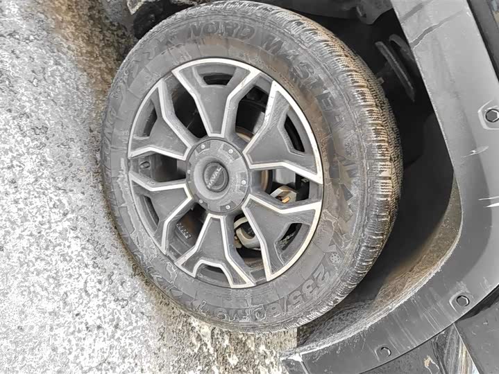 Фото 6 - Haval H-Dog Hybrid