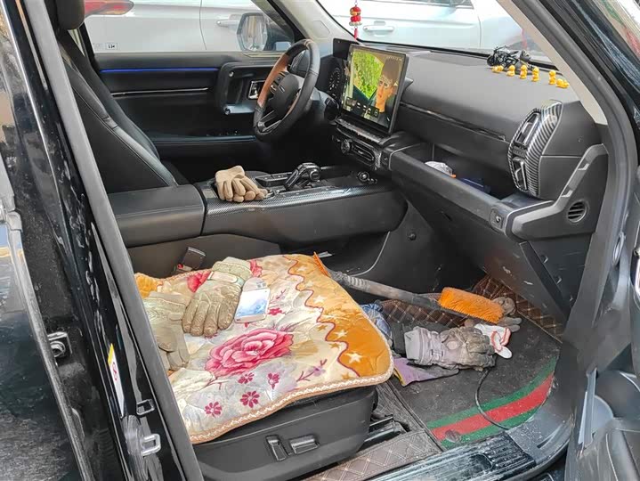 Фото 8 - Haval H-Dog Hybrid