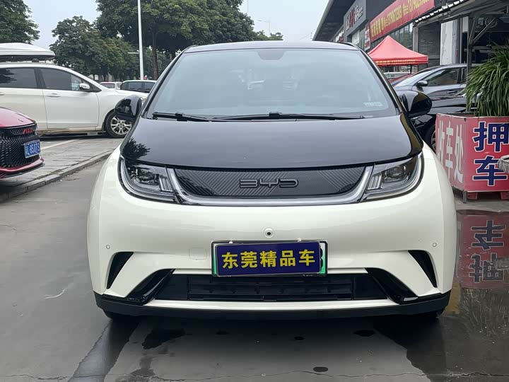 Фото 2 - BYD Dolphin