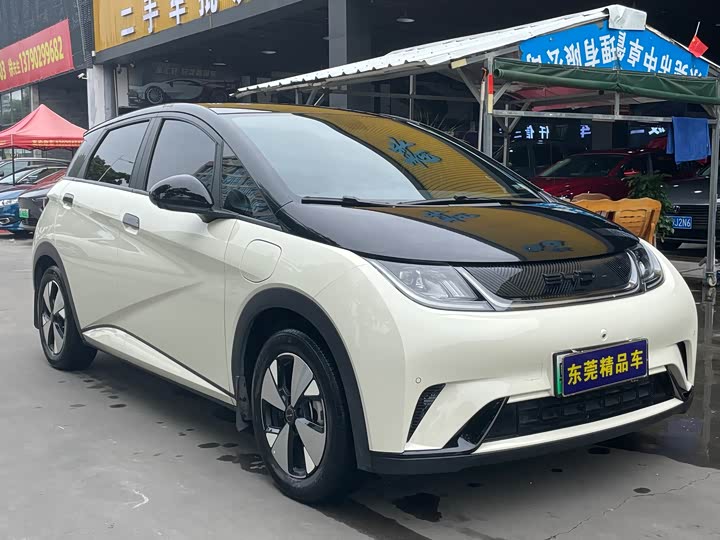 Фото 3 - BYD Dolphin