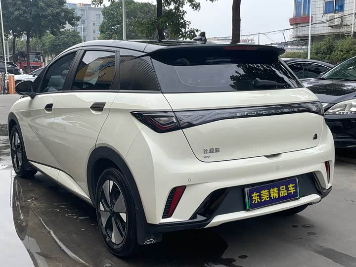 Фото 7 - BYD Dolphin