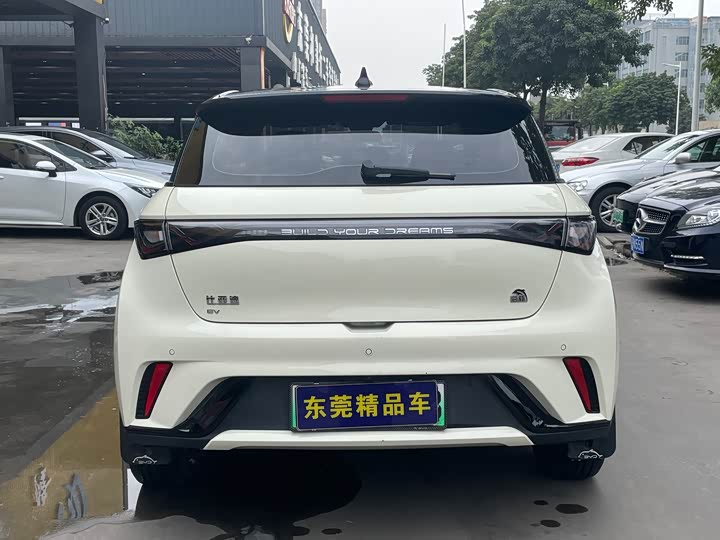 Фото 8 - BYD Dolphin