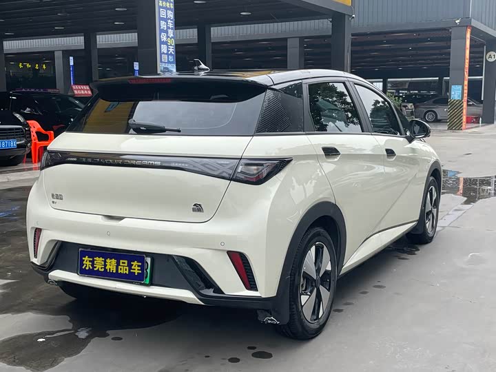 Фото 9 - BYD Dolphin