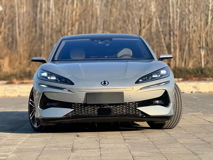 Фото 3 - Denza Z9GT