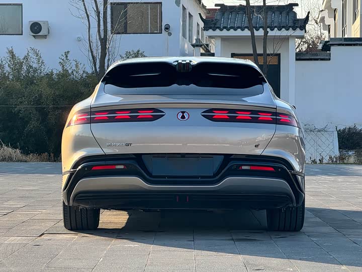 Фото 5 - Denza Z9GT