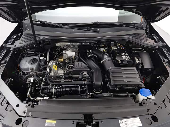 Фото 6 - Volkswagen Tiguan L Pro