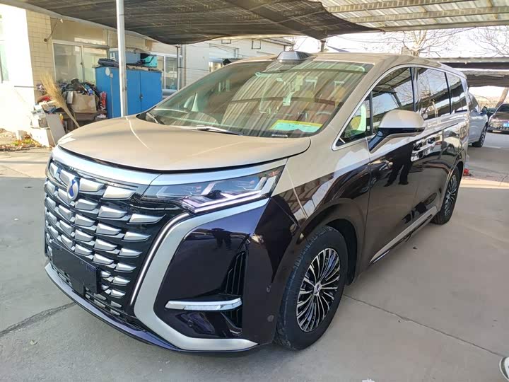 Фото 2 - Denza D9