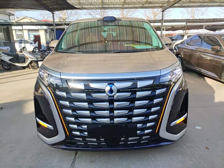 Фото 3 - Denza D9