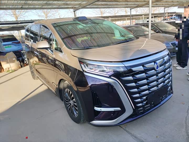 Фото 4 - Denza D9