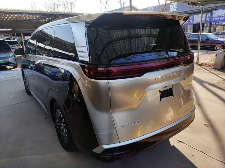 Фото 5 - Denza D9