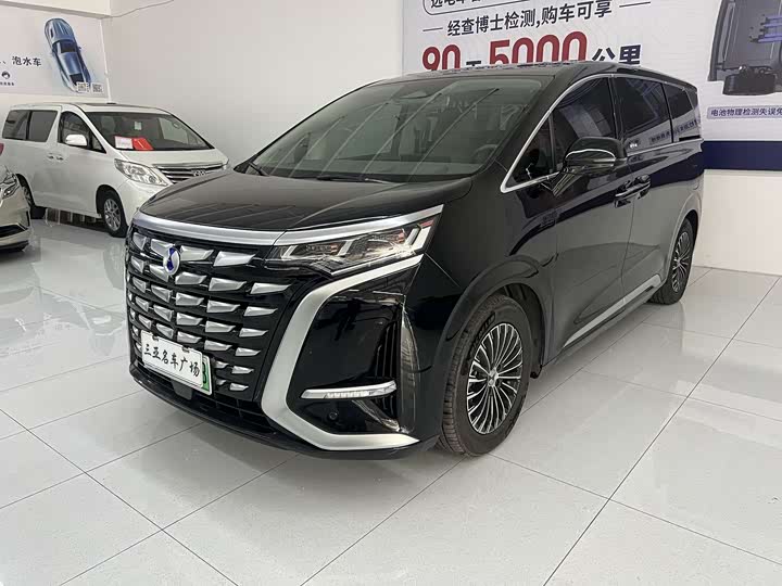 Фото 1 - Denza D9