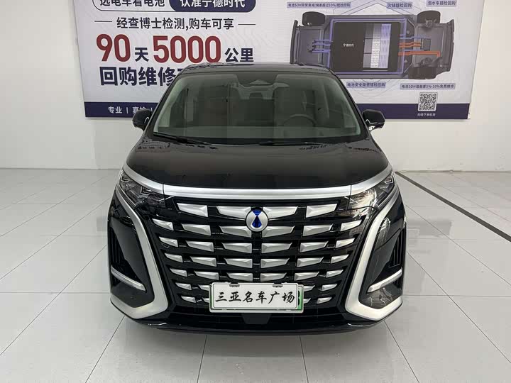 Фото 2 - Denza D9