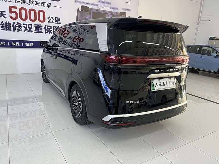 Фото 4 - Denza D9