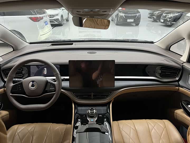 Фото 7 - Denza D9