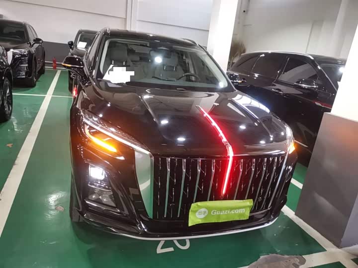 Фото 3 - Hongqi HS3 Hybrid
