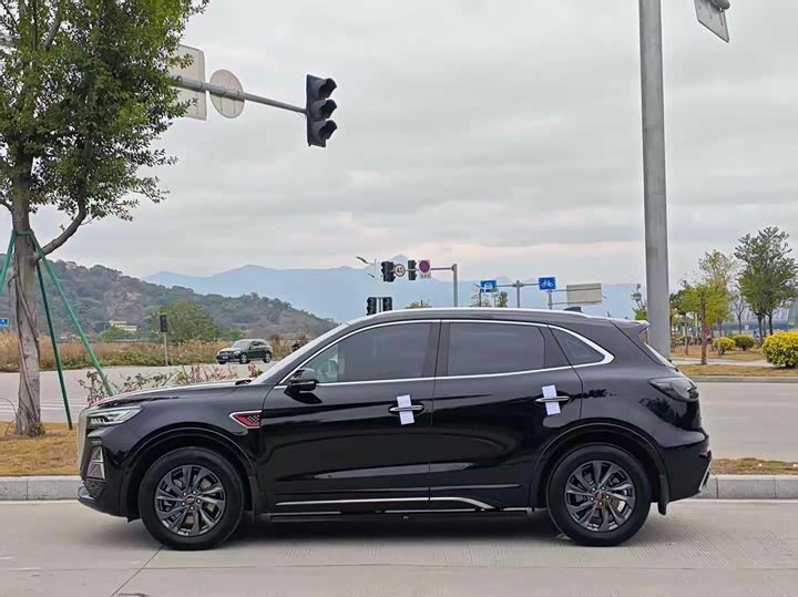 Фото 8 - Hongqi HS5