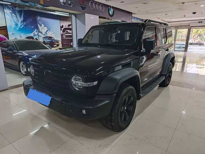 Фото 1 - Tank 300