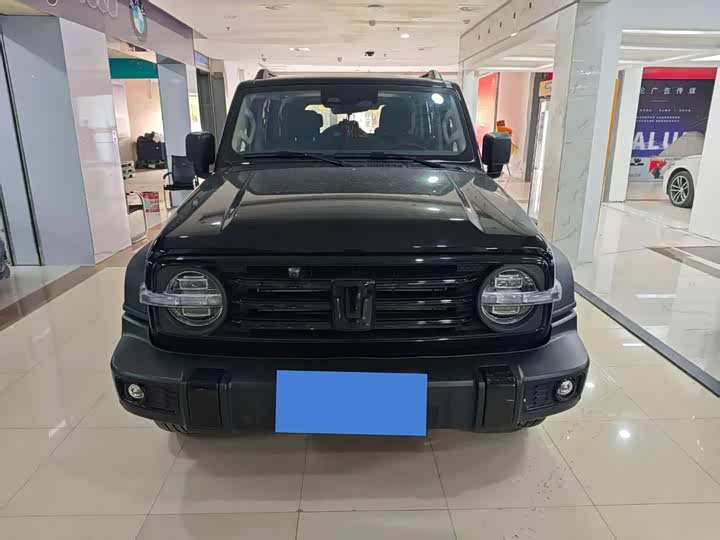 Фото 2 - Tank 300