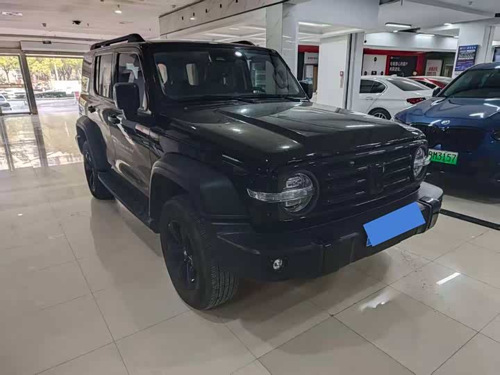 Фото 3 - Tank 300