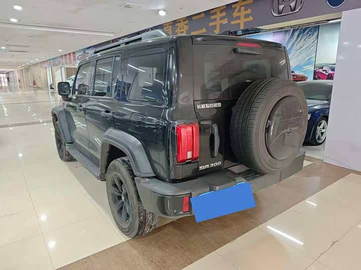 Фото 7 - Tank 300