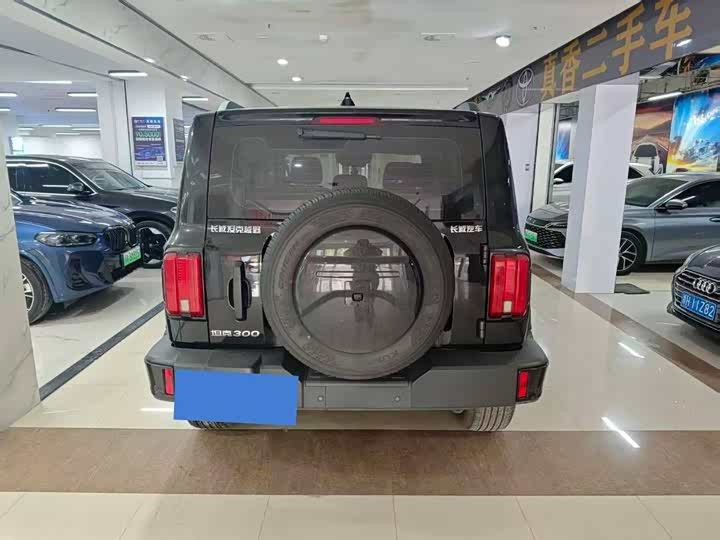 Фото 8 - Tank 300