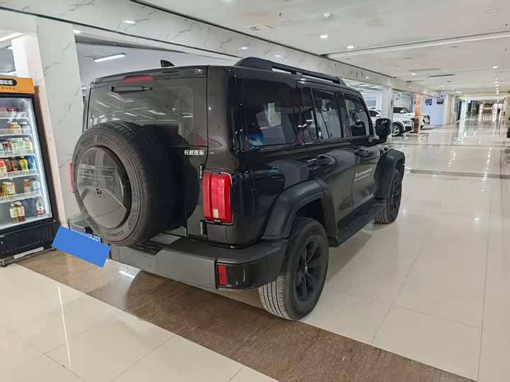 Фото 9 - Tank 300