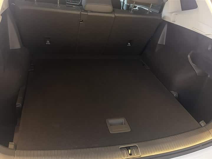 Фото 4 - Volkswagen Tiguan L Pro