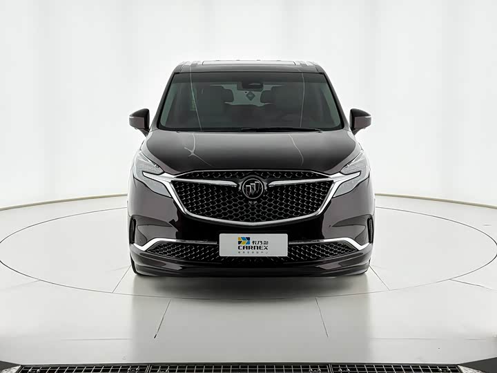 Фото 1 - Buick GL8 ES