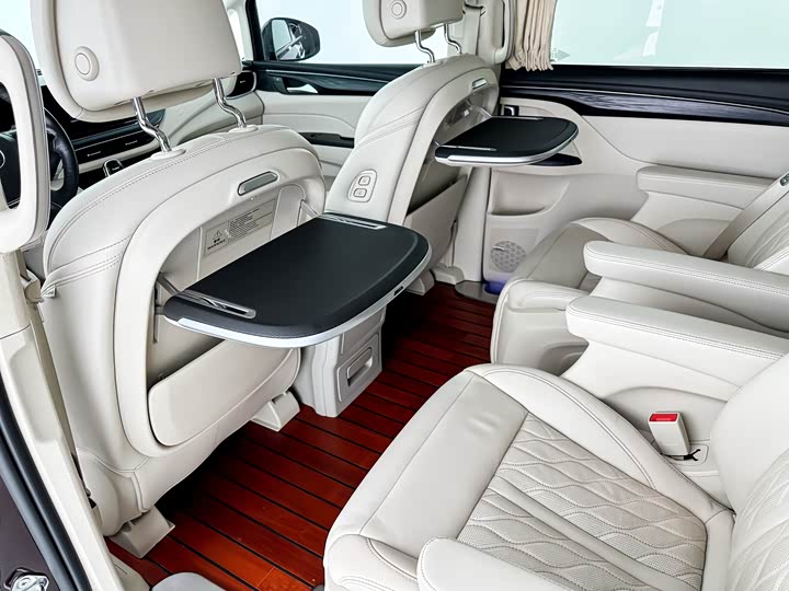 Фото 7 - Buick GL8 ES