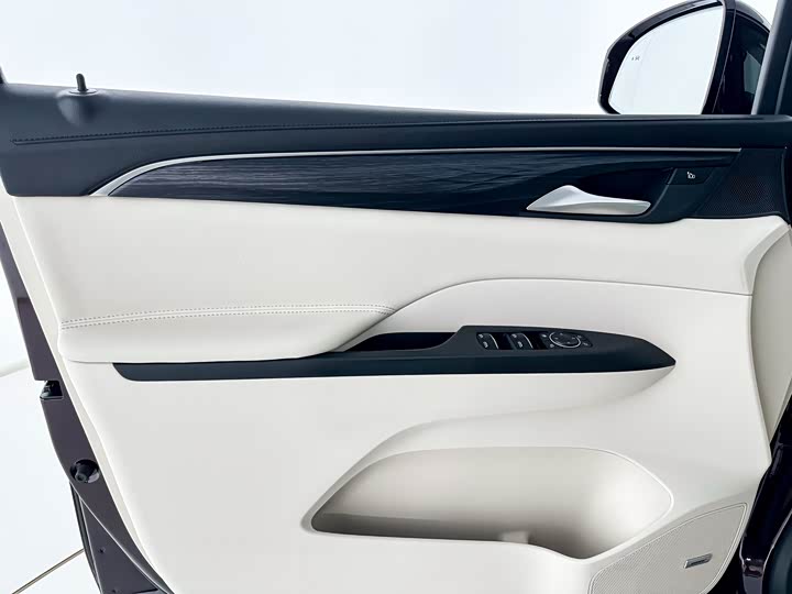 Фото 9 - Buick GL8 ES