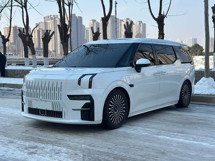 Фото 1 - Zeekr 009